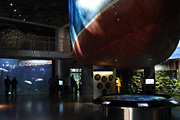 Nordsøen Oceanarium er største attraksjon i Hirtshals, og absolutt verdt et besøk
